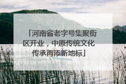 河南省老字号集聚街区开业，中原传统文化传承再添新地标